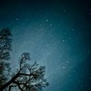 동강의 향기 이미지