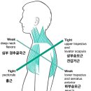 므네필라테스 - 4161 | 므네필라테스