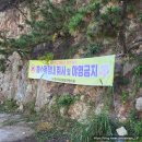 천북 해양낚시터 | [충청남도_보령시] 고운 모래가 넓게 펼쳐져 있는 '원산도(소록도) 해수욕장(보령(태안)의 캠핑장(차박...