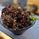 907육식당 - 안산시 단원구 원선1로 9 | 안산중앙역맛집 찾는다면 추천! 애견동반가능한[ 907육식당-안산 고잔점 ]후기