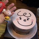 브라운보니 이미지