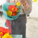 사파동325 이미지