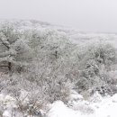 아트-아이 이미지