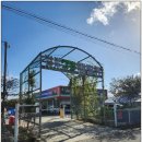 서천 바닷가 갯벌 | 충남 서천 별빛갯벌캠핑장 갯벌체험 백합 동죽 잡기 체험