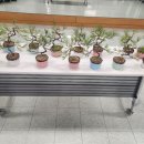 보리농장 이미지