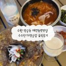 수수로 | 수원 행궁동 애견동반맛집 수수한가행궁점 수제비와 고기전 후기