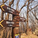 한숲시티 방향 이미지