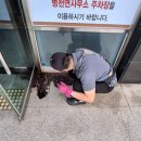 터미널목욕탕 이미지