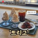 아이르디저트카페 | 특색있는 메밀 디저트를 판매하는 강원도 평창의 대형카페 '트리고'