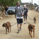 행복한 강아지 이미지