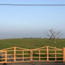 선양 목장 이미지