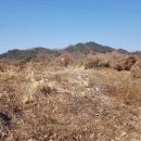 상천리-2 이미지