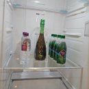 스테이더담 가곡 이미지