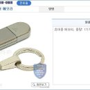 USB 휴대용 메모리 품목분류??? 이미지