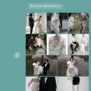 W10) 소피소 스튜디오 A타입 촬영후기 위해구 작가님,시작바이이명순,김청경헤어페이스,그린 헤어변형...