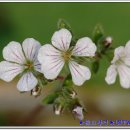 달맞이 펜션 이미지