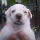 거제제일고등학교 이미지