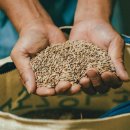 배바우농장 이미지