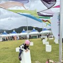 대동생태체육공원 화장실 1 이미지