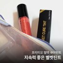 스칼렛스킨케어 | 지속력 좋은 벨벳틴트 웜톤 립티트 추천! 프리티오