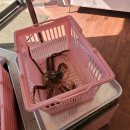 지에스25 부천옥길점 이미지