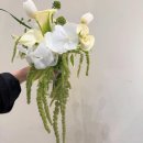 자유도매시장 | 웨딩촬영 생화부케 위시리스트, 부산 꽃시장 범일동 부산자유도매시장 후기 (봄봄플라워,수선화꽃집)