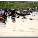 우물가빨래터 이미지