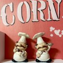 꽃지아라 이미지