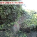 서근마을회관 이미지