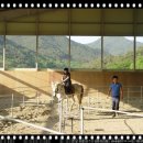 곡성-169 이미지