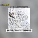 세아 작업실 이미지
