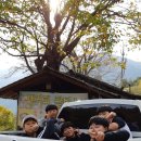 지리산 산뜨락 이미지