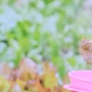 큰손민박