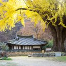 예쁘다 경주 이미지