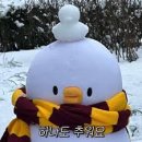 사계절복코다리 이미지