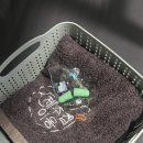 제주집 이응 이미지