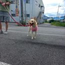 멍스퀘어 이미지