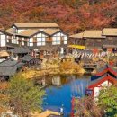 니지모리스튜디오