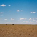 노바PC방 이미지