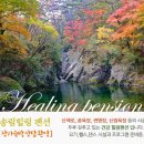 치악산 송림민박 네이버블로그