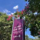 대곡리 화장실 | 울산 울주 대곡리 유네스코 등재 반구대 암각화 인데 안보임...