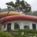 써닝포인트 컨트리클럽 이미지