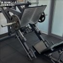 팔머메디스포츠 이미지