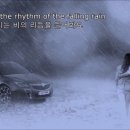 [7]‘Rhythm of the Rain’ (빗줄기의 리듬) 1962 이미지