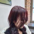 민오렌지헤어 이미지