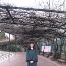 이화여자고등학교 이미지