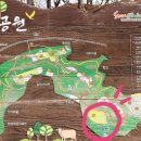 우산생태숲 이미지