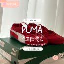 아디다스코리아(유) | <육아템> 푸마 스피드캣고 레드 160 사이즈 후기｜실측 14.5cm 착용했더니 너무 큼 (유아 운동화 추천?)