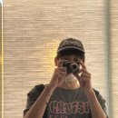 스타피드 이미지