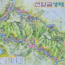 선암골생태유람길 네이버블로그